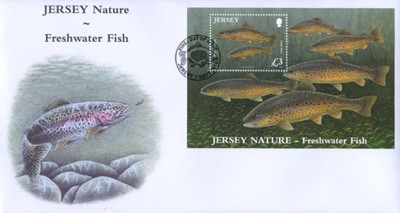 Name:  2c-fdc fresh water fish - b4.0.jpeg
Views: 423
Size:  24.9 KB