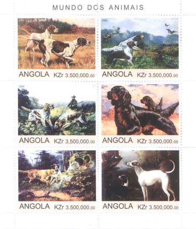 Name:  Angola_Dogs0001.jpg
Views: 470
Size:  32.9 KB