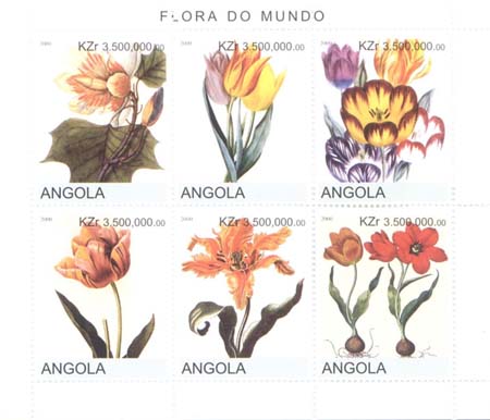 Name:  Angola_Flora0001.jpg
Views: 459
Size:  26.6 KB