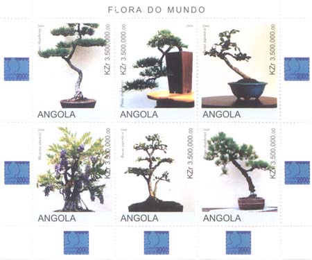 Name:  Angola_Flora0002.jpg
Views: 467
Size:  26.4 KB