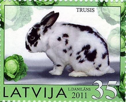 Name:  Rabit - 2011.jpg
Views: 289
Size:  35.5 KB