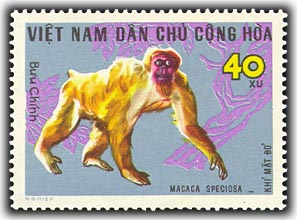 Name:  khỉ mặt đỏ - thurung 1967.jpg
Views: 1597
Size:  29.6 KB