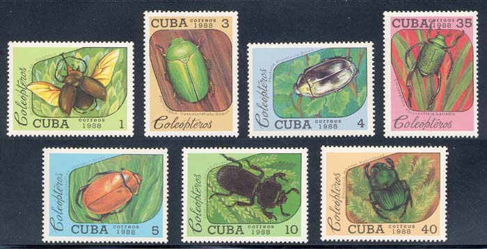 Name:  tem cuba1988.jpg
Views: 323
Size:  57.1 KB