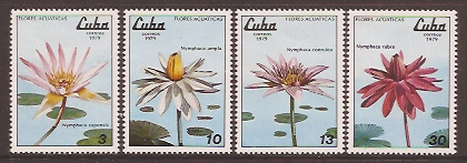 Name:  368- hoa 1979 Cuba - 37k.jpg
Views: 541
Size:  67.3 KB