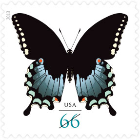 Name:  13-spicebush-swallowtail.jpg
Views: 665
Size:  18.9 KB