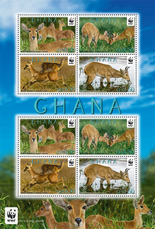 Name:  ghana.jpg
Views: 727
Size:  438.3 KB