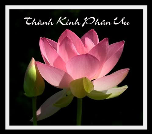 Name:  thanh kinh phan uu.jpg
Views: 6338
Size:  27.7 KB