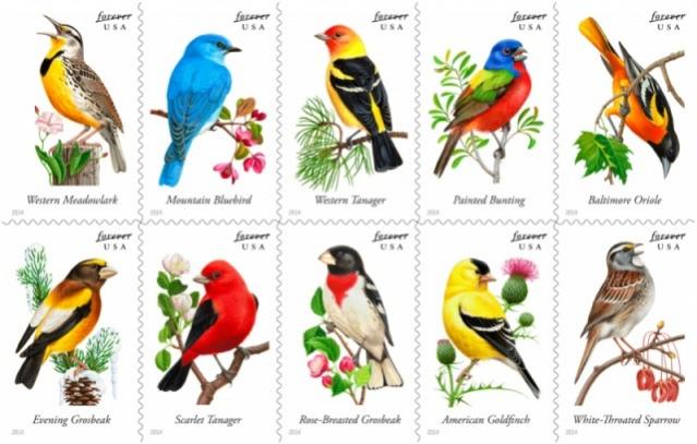 Name:  14-SongbirdsBlock.jpg
Views: 334
Size:  46.5 KB