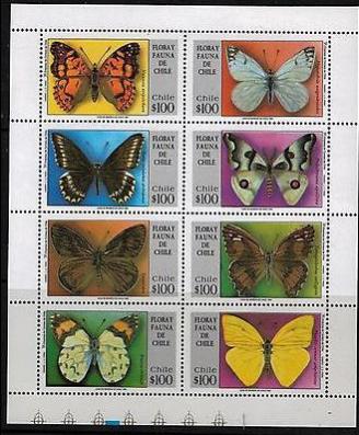 Name:  462- BUTTERFLIES chile 1994- 160k.jpg
Views: 756
Size:  36.9 KB