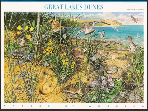 Name:  Great Lake Dunes-1.jpg
Views: 713
Size:  226.3 KB