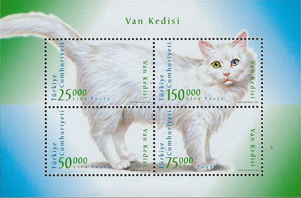 Name:  Turkish Van_TNK.jpg
Views: 256
Size:  258.0 KB