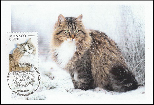Name:  Siberia cat.jpg
Views: 449
Size:  149.0 KB
