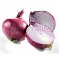 Name:  onionpic.jpg
Views: 1028
Size:  2.7 KB