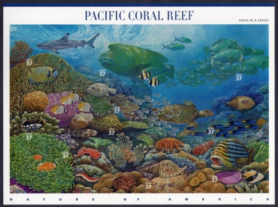Name:  06-pacific Coral Reef.JPEG
Views: 703
Size:  218.5 KB