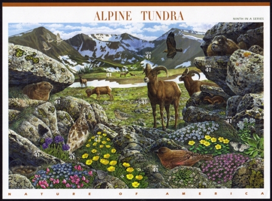 Name:  09-Alpine Tundra.JPEG
Views: 642
Size:  237.9 KB