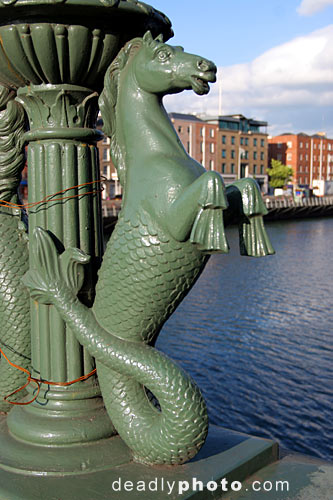 Name:  IMG_2912_sea_horse_dublin.jpg
Views: 9477
Size:  50.7 KB