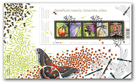 Name:  2007_insects_OFDC.jpg
Views: 606
Size:  85.1 KB