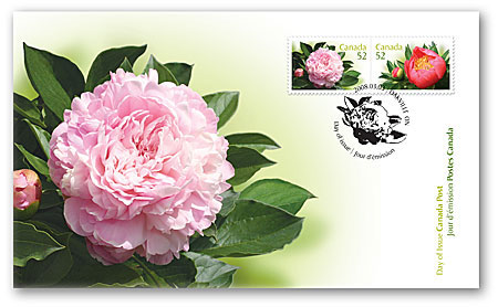 Name:  2008_peonies_ofdc.jpg
Views: 554
Size:  35.7 KB