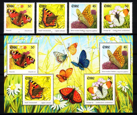 Name:  virusloves_butterflies_ireland_557.jpg
Views: 1572
Size:  118.8 KB