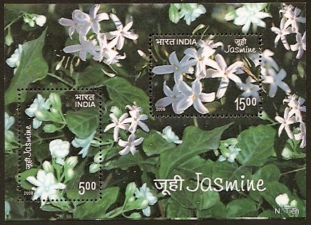 Name:  India-Jasmine-26-4-08.jpg
Views: 657
Size:  126.0 KB