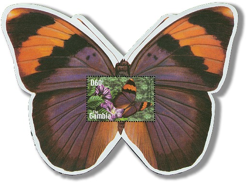 Name:  gam0254ss-shape-buterfly.jpg
Views: 1020
Size:  67.5 KB