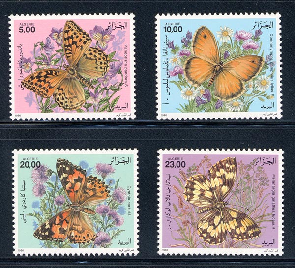 Name:  algeria_10_butterflies_1070-1073.jpg
Views: 1002
Size:  106.4 KB