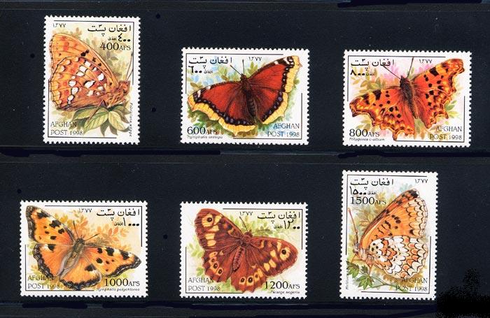 Name:  afghanistan_16_1478-1483_butterflies.jpg
Views: 921
Size:  76.0 KB