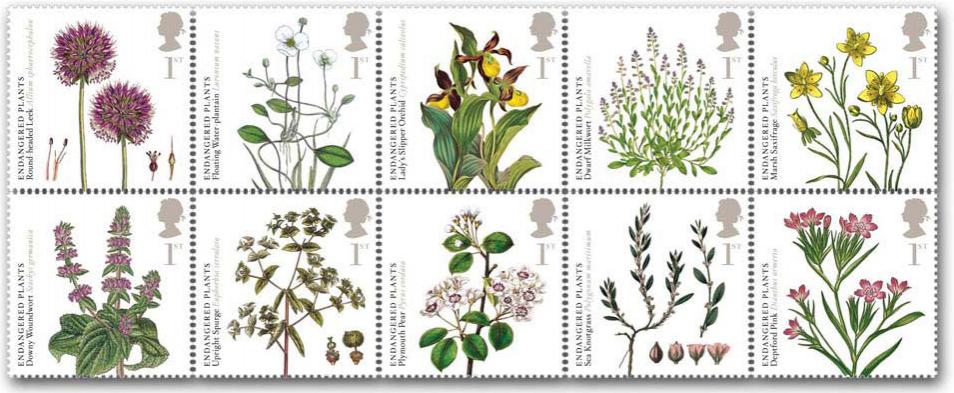 Name:  090519_endangered_plants.jpg
Views: 188
Size:  85.7 KB