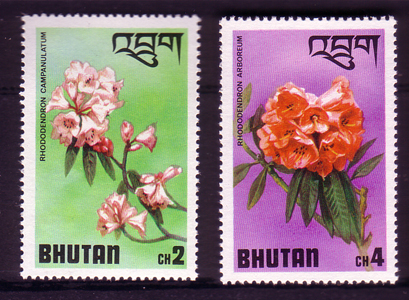 Name:  Bhutan.jpg
Views: 1030
Size:  195.3 KB