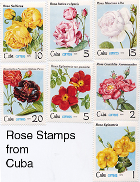 Name:  cubastamps.jpg
Views: 2234
Size:  151.5 KB