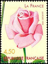 Name:  ros-france1999-rose3-small.jpg
Views: 1559
Size:  13.5 KB