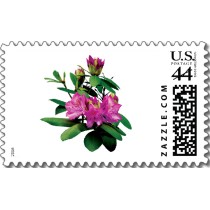 Name:  magenta_rhododendronswith_buds_postage-p172187142556046118anrd1_210.jpg
Views: 2172
Size:  12.5 KB