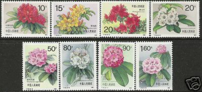 Name:  China - 1991 Azalea.jpg
Views: 1732
Size:  26.2 KB