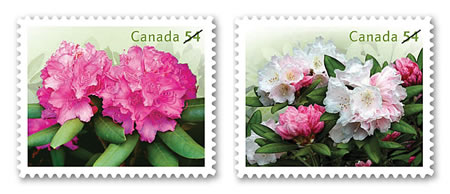 Name:  2009_rhodo_stamp.jpg
Views: 1511
Size:  40.5 KB