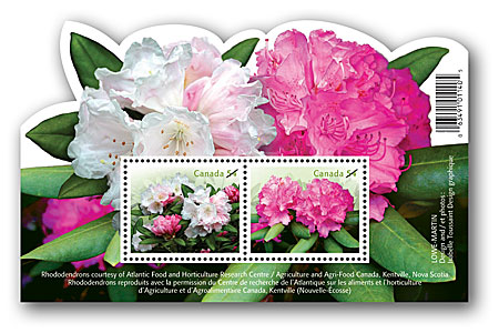 Name:  2008_peonies_souvsheet.jpg
Views: 1556
Size:  61.2 KB