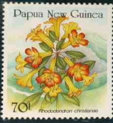 Name:  papua_christianiae.jpg
Views: 1330
Size:  7.2 KB