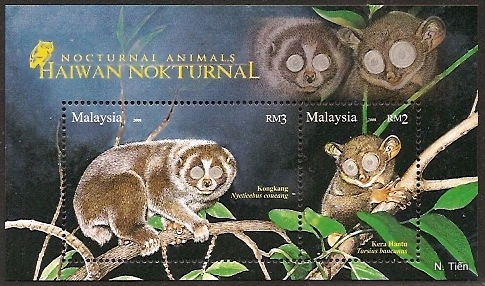 Name:  Malaysia-Noctural Animals-13-3-08.jpg
Views: 672
Size:  115.1 KB