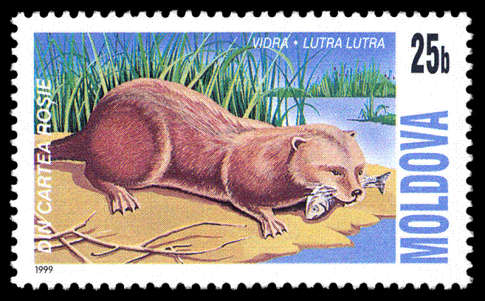 Name:  Stamp_of_Moldova_291.gif
Views: 1609
Size:  142.8 KB