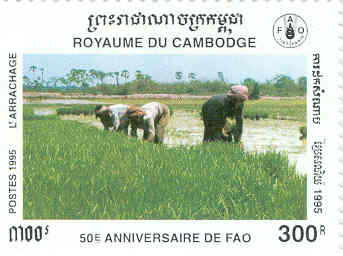 Name:  Cambodia5.jpg
Views: 11664
Size:  12.7 KB