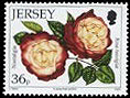 Name:  1_jersey201036p.jpg
Views: 315
Size:  33.1 KB