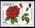 Name:  1_jersey201045p.jpg
Views: 311
Size:  32.5 KB