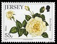 Name:  1_jersey201055p.jpg
Views: 301
Size:  33.1 KB